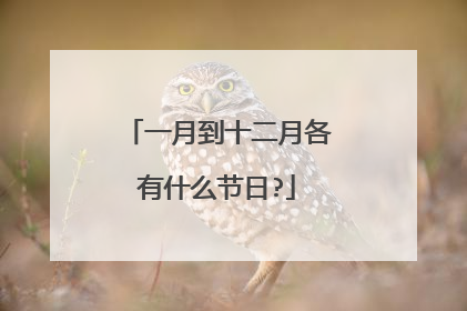 一月到十二月各有什么节日?