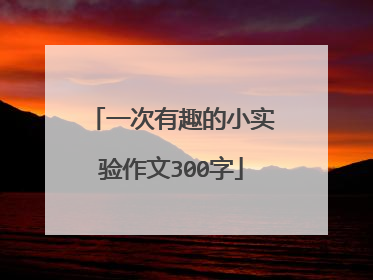 一次有趣的小实验作文300字