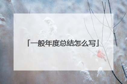 一般年度总结怎么写