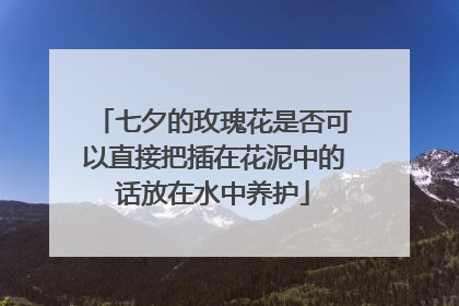 七夕的玫瑰花是否可以直接把插在花泥中的话放在水中养护