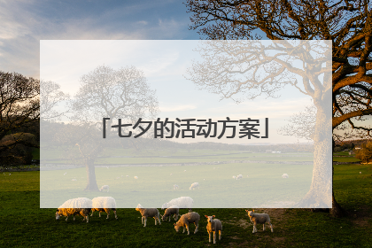 七夕的活动方案