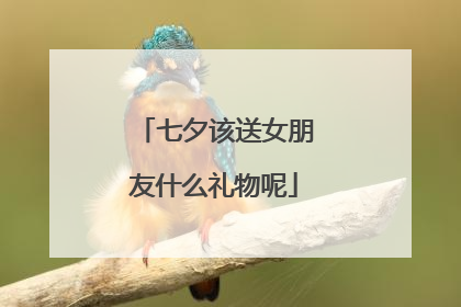 七夕该送女朋友什么礼物呢
