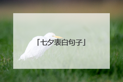 七夕表白句子