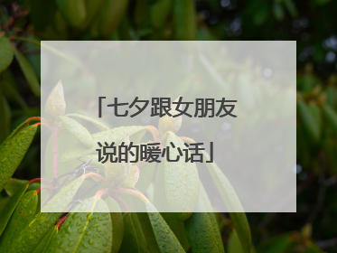 七夕跟女朋友说的暖心话