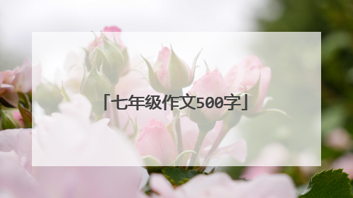 七年级作文500字