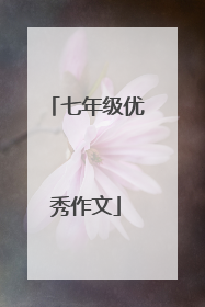 七年级优秀作文