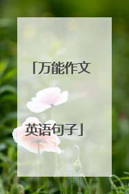万能作文英语句子