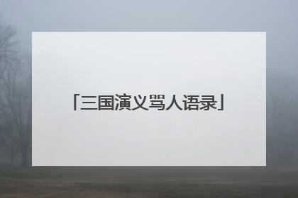 三国演义骂人语录