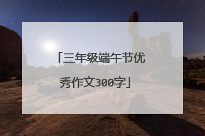 三年级端午节优秀作文300字