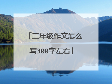 三年级作文怎么写300字左右