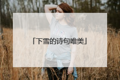下雪的诗句唯美