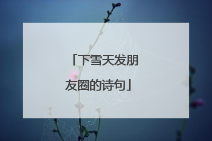 下雪天发朋友圈的诗句