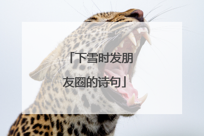 下雪时发朋友圈的诗句