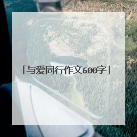 与爱同行作文600字