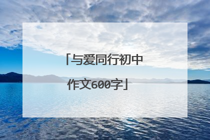 与爱同行初中作文600字