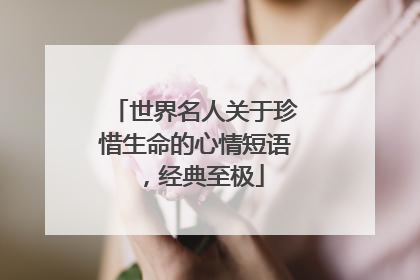 世界名人关于珍惜生命的心情短语，经典至极