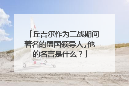 丘吉尔作为二战期间著名的盟国领导人,他的名言是什么？