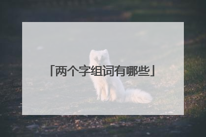 两个字组词有哪些