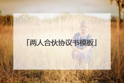 两人合伙协议书模板