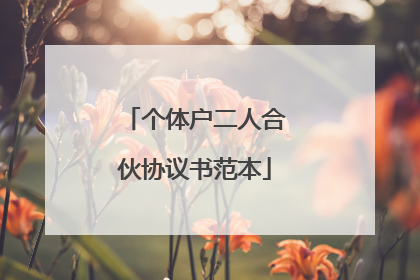个体户二人合伙协议书范本