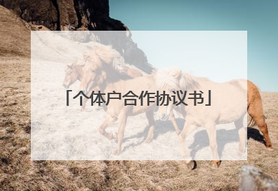 个体户合作协议书