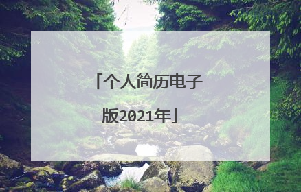 个人简历电子版2021年