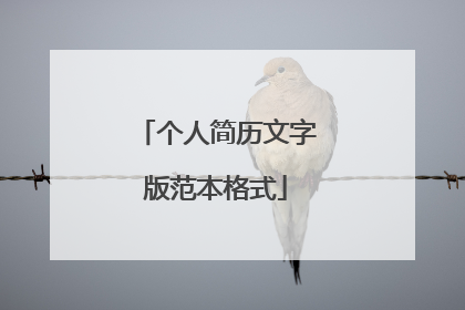个人简历文字版范本格式