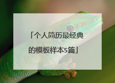 个人简历最经典的模板样本5篇