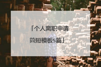 个人离职申请简短模板5篇