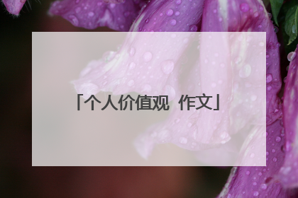 个人价值观 作文