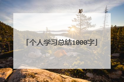 个人学习总结1000字