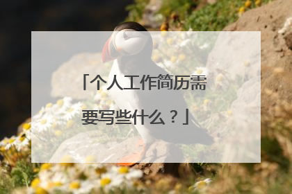 个人工作简历需要写些什么？