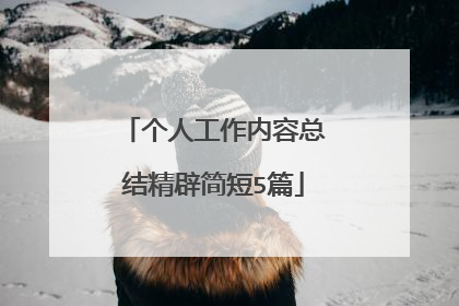 个人工作内容总结精辟简短5篇