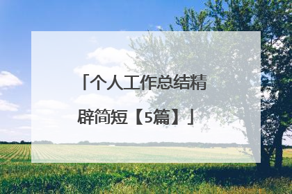 个人工作总结精辟简短【5篇】