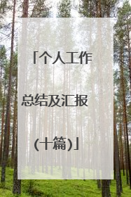 个人工作总结及汇报(十篇)