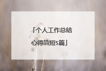个人工作总结心得简短5篇