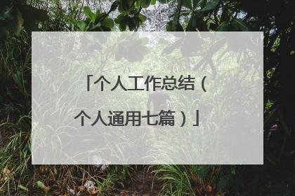 个人工作总结（个人通用七篇）