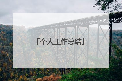 个人工作总结