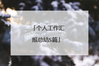 个人工作汇报总结5篇