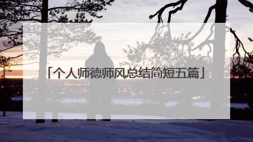 个人师德师风总结简短五篇