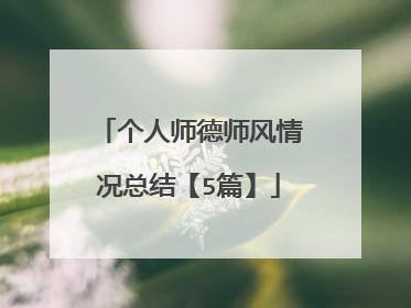个人师德师风情况总结【5篇】