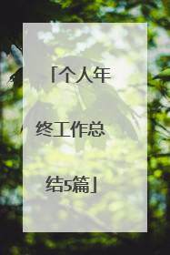 个人年终工作总结5篇