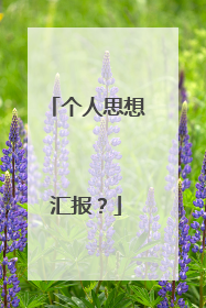 个人思想汇报？