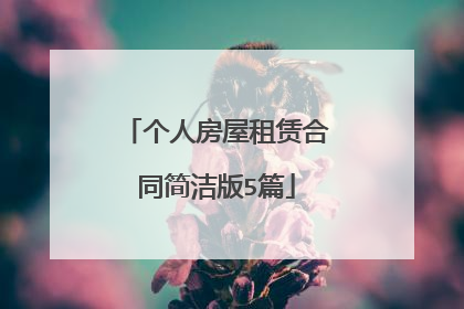 个人房屋租赁合同简洁版5篇