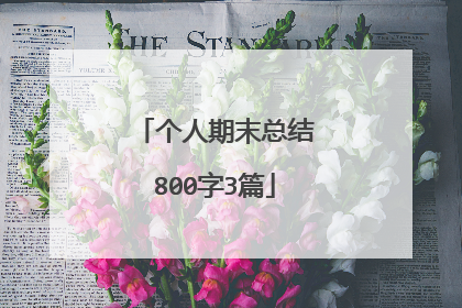 个人期末总结800字3篇