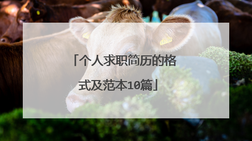 个人求职简历的格式及范本10篇
