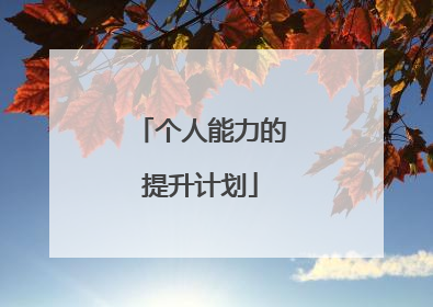 个人能力的提升计划
