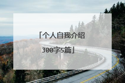 个人自我介绍300字5篇