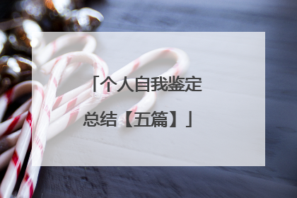 个人自我鉴定总结【五篇】