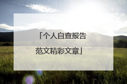 个人自查报告范文精彩文章